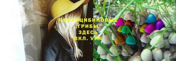 винт Майский