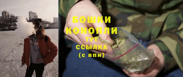 винт Майский