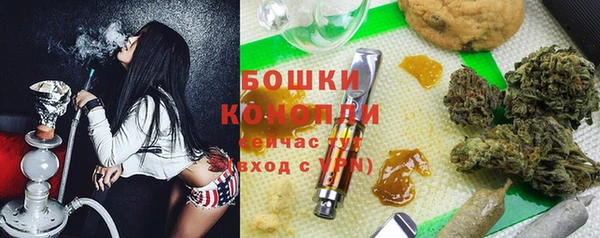 ECSTASY Медногорск