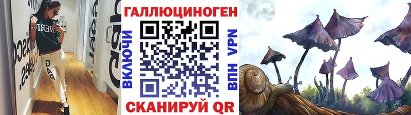 Псилоцибиновые грибы ЛСД блэк спрут ссылка Арзамас
