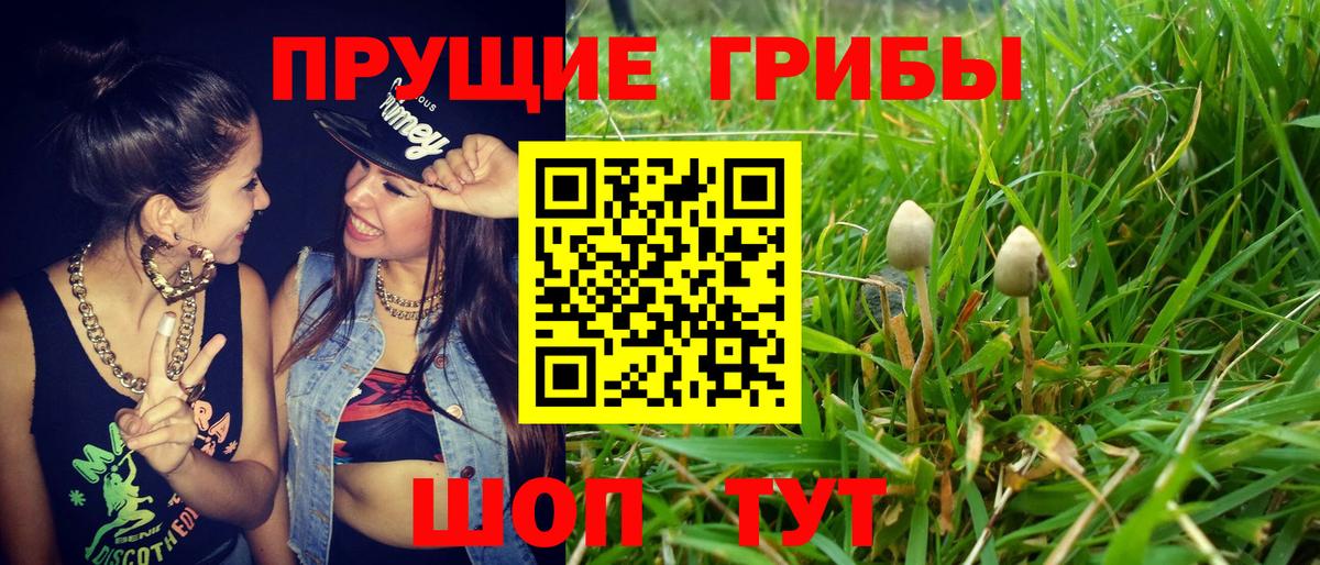 Псилоцибиновые грибы Psilocybine cubensis  Вход с VPN  Галлюциногенные грибы мухоморы  Арзамас 