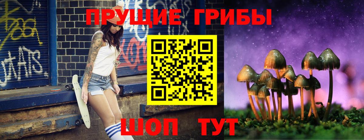 Галлюциногенные грибы Cubensis Арзамас